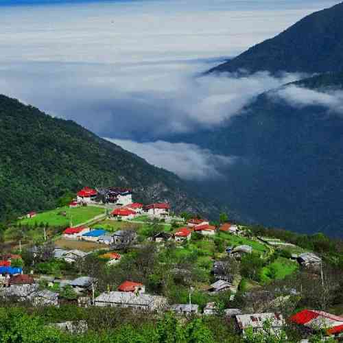 نظام فریاد ای برار مهربونوم یاور غم و جنونوم وقتی که پیکای شرابت